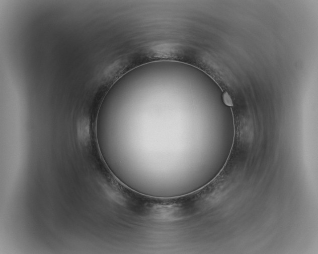 X0000113340213200909221130