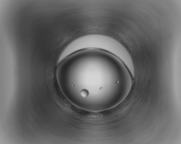 X0000113340215200909221130