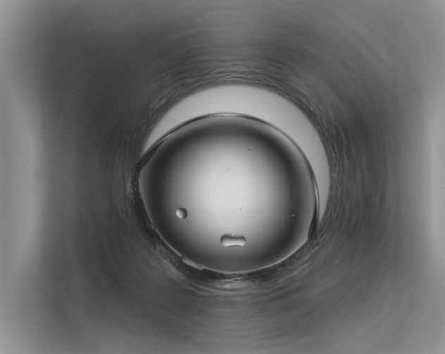 X0000113340219200909221130