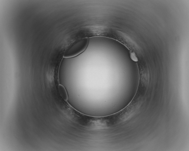 X0000113340221200909221130