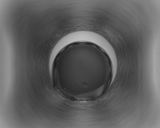 X0000113340223200909221130