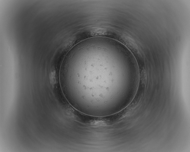 X0000113340224200909221130