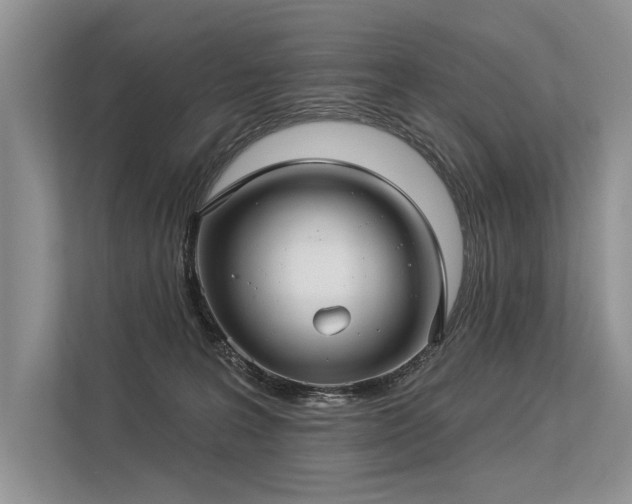 X0000113340227200909221130