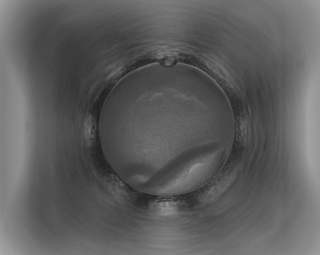 X0000113340228200909221130