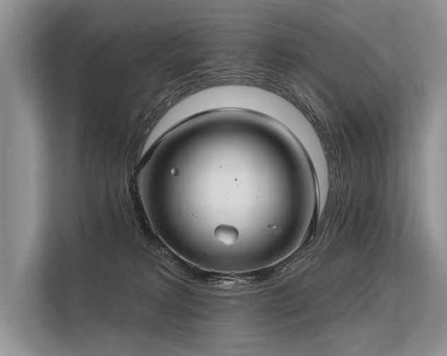 X0000113340229200909221130