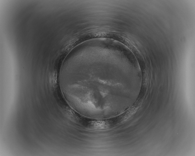 X0000113340230200909221130