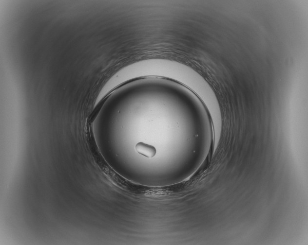 X0000113340231200909221130