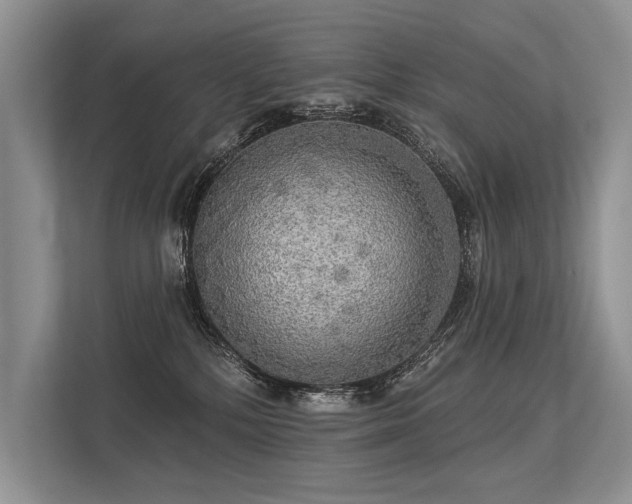 X0000113340232200909221130