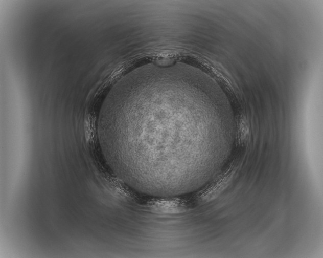 X0000113340236200909221130