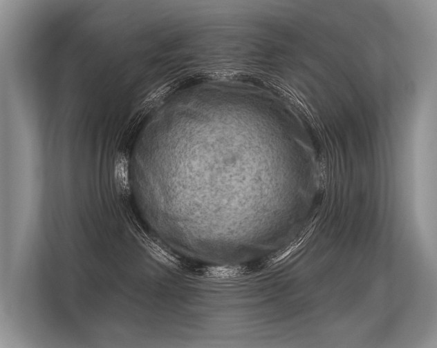 X0000113340238200909221130