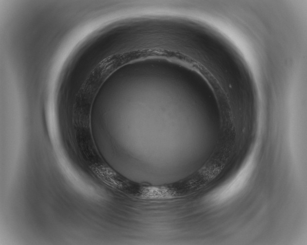 X0000113340239200909221130