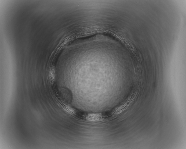 X0000113340240200909221130