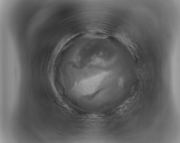 X0000113340241200909221129