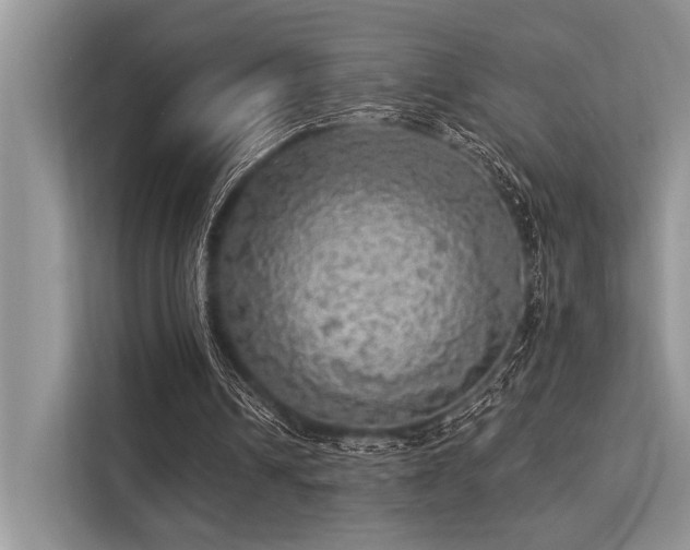 X0000113340242200909221129