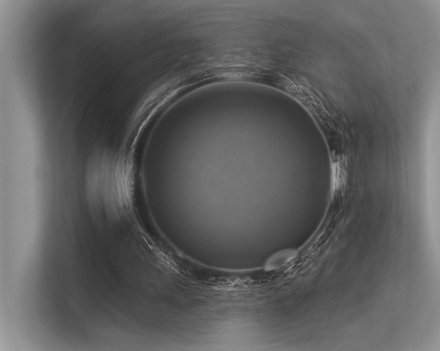 X0000113340243200909221129