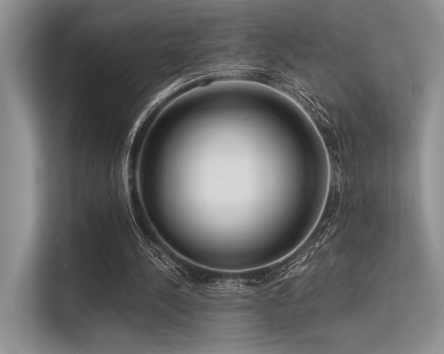 X0000113340244200909221129