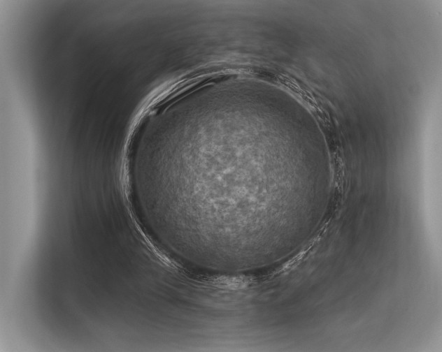 X0000113340245200909221129