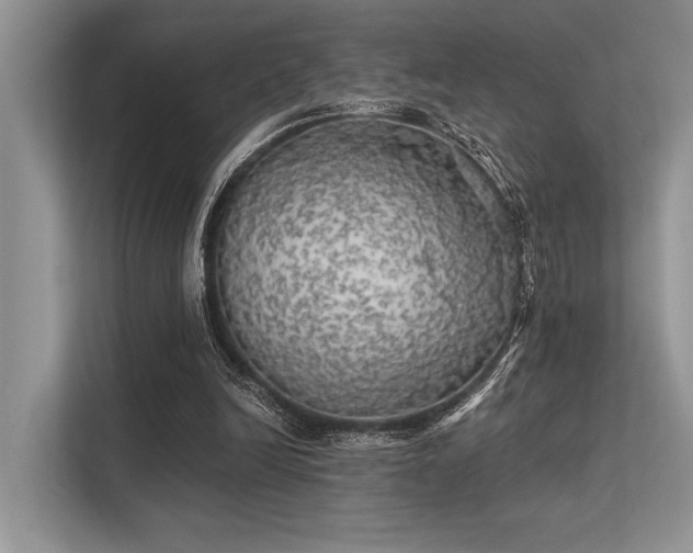 X0000113340246200909221129