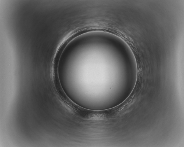 X0000113340248200909221129