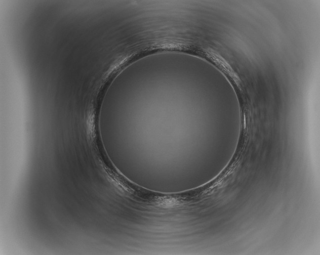 X0000113340249200909221129