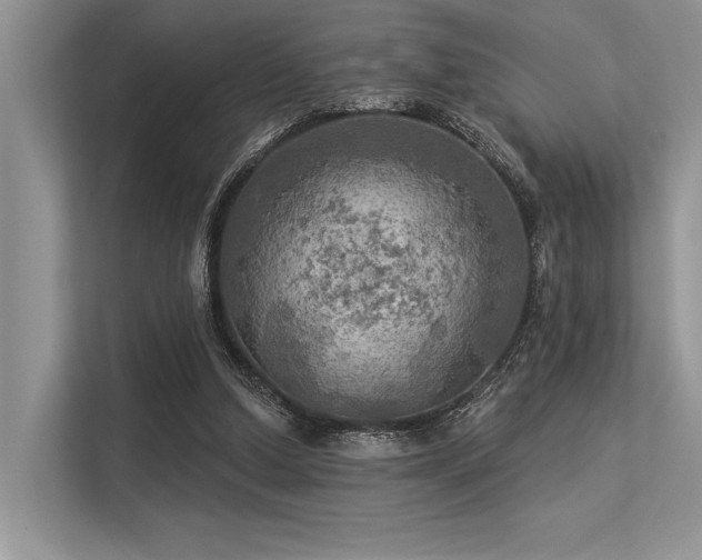 X0000113340250200909221129