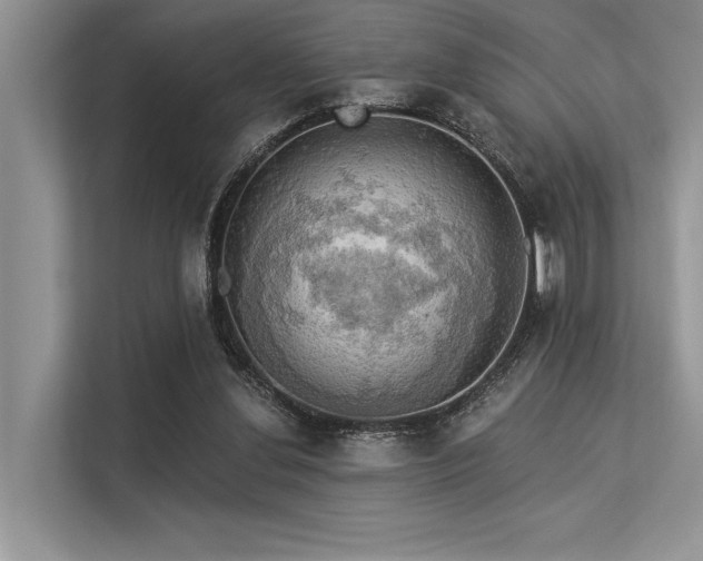 X0000113340252200909221129