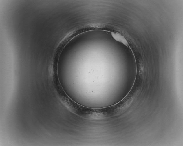 X0000113340256200909221129