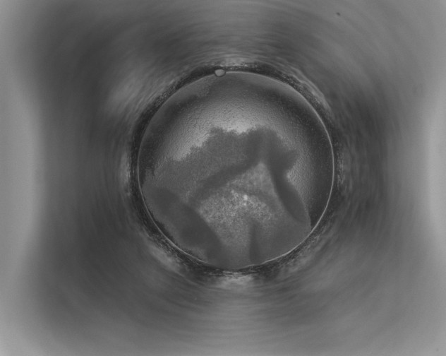 X0000113340257200909221129