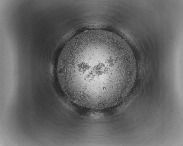 X0000113340258200909221129