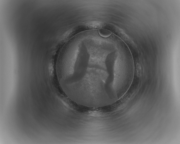 X0000113340259200909221129