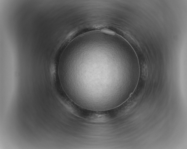 X0000113340260200909221129