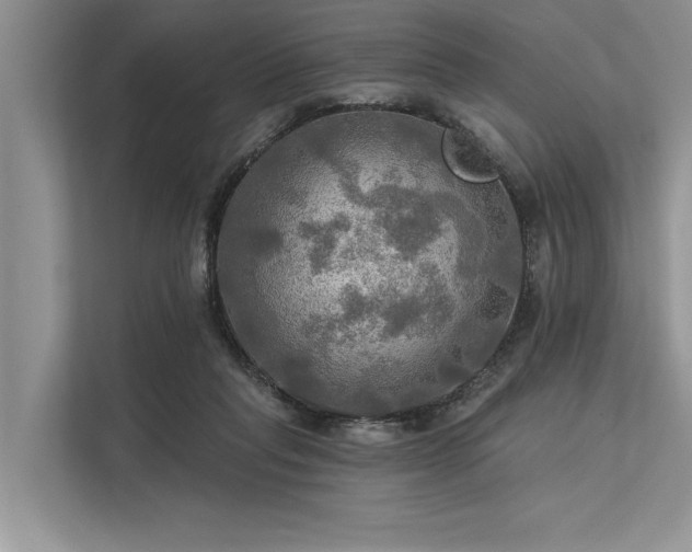 X0000113340261200909221129