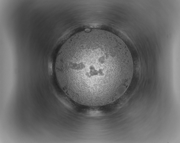 X0000113340262200909221129