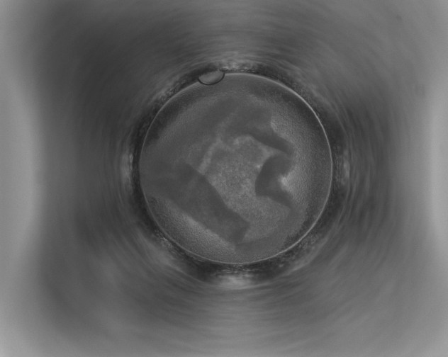 X0000113340263200909221129