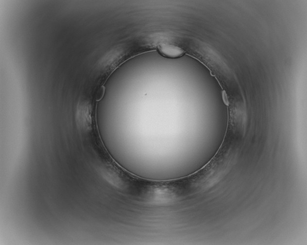 X0000113340264200909221129