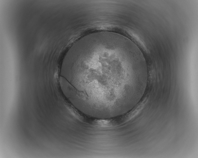 X0000113340265200909221129