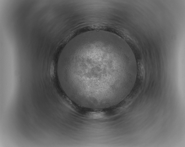 X0000113340266200909221129