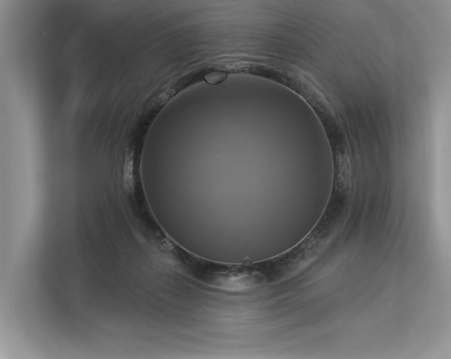 X0000113340267200909221129