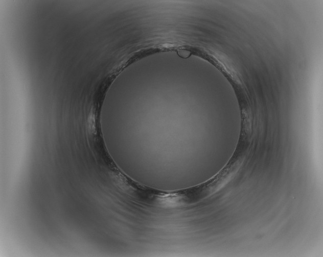 X0000113340269200909221129