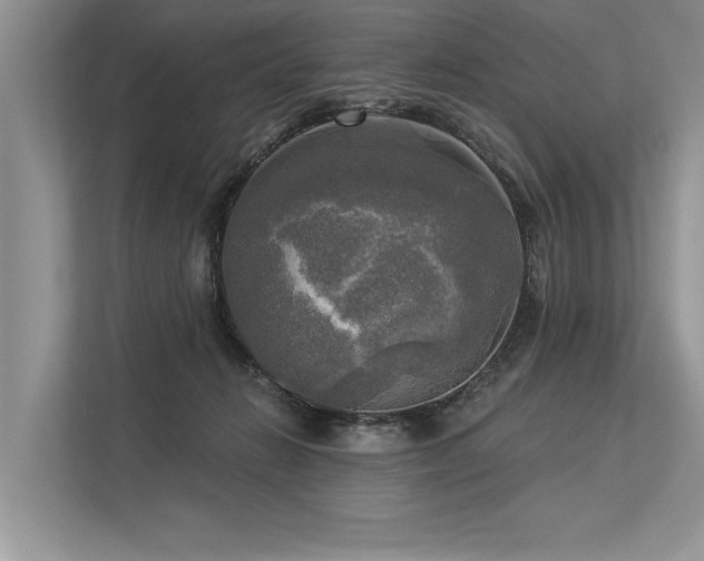 X0000113340270200909221130