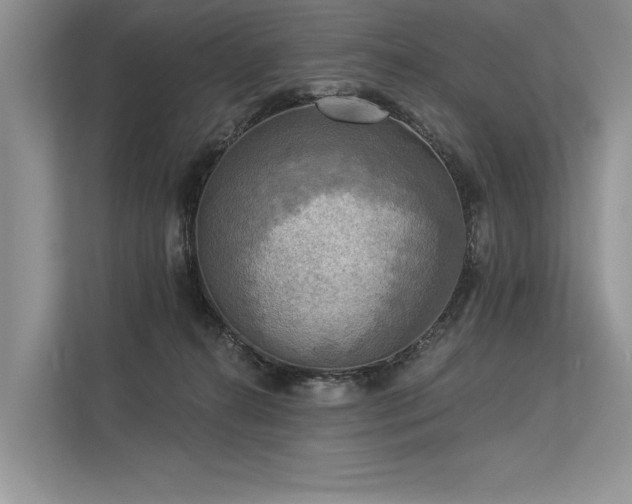 X0000113340272200909221130