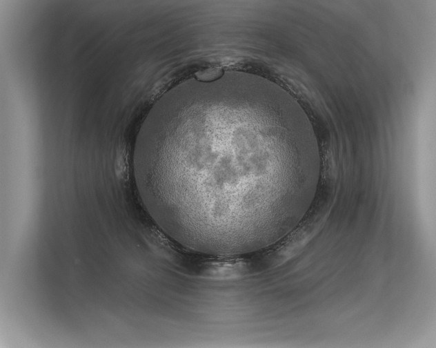 X0000113340274200909221130