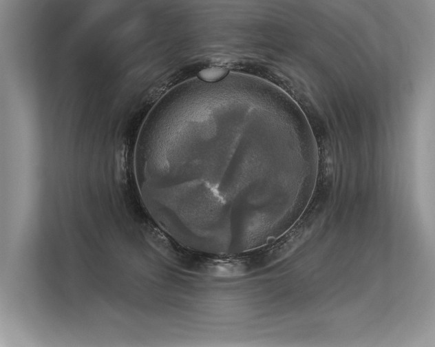 X0000113340275200909221130