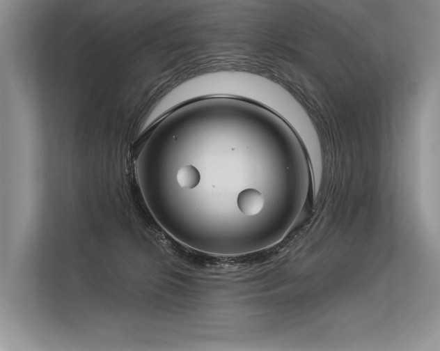 X0000113340276200909221130