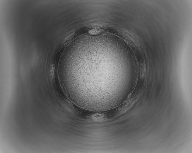 X0000113340279200909221130