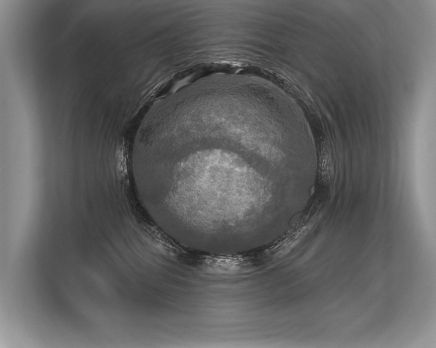 X0000113340282200909221130