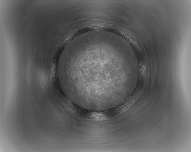 X0000113340283200909221130