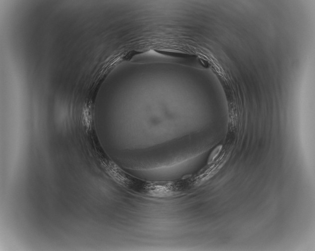 X0000113340285200909221130