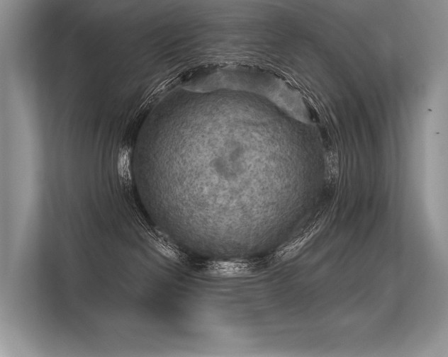 X0000113340286200909221130