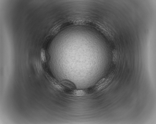 X0000113340287200909221130